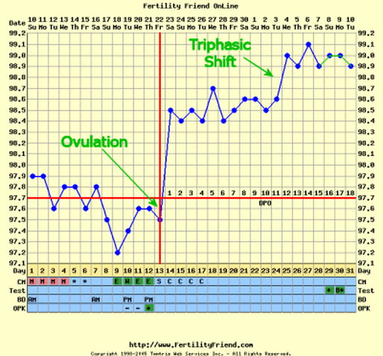 Pregnancy Temp Chart
